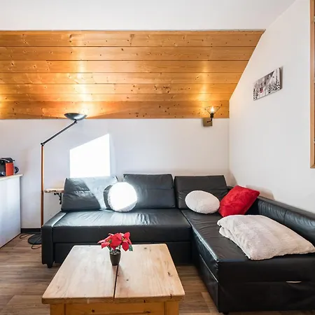 Appartement La Marmotte Des Sybelles - Pistes A 50 M La Chal
